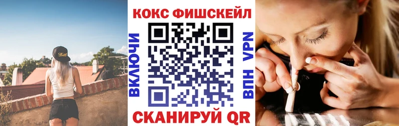 Виды наркотиков купить Жиздра КОКАИН  Меф  ГАШ 