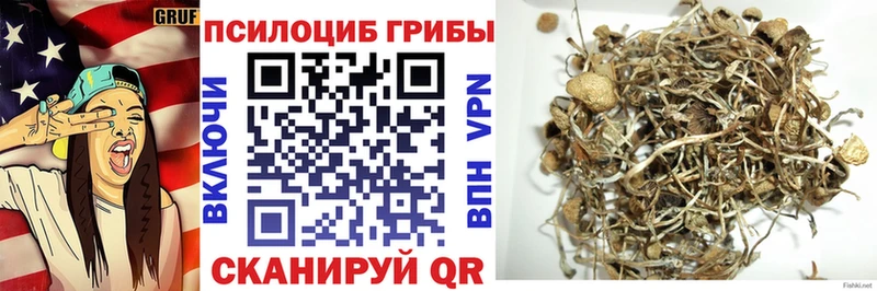 как найти наркотики  Жиздра  Галлюциногенные грибы прущие грибы 